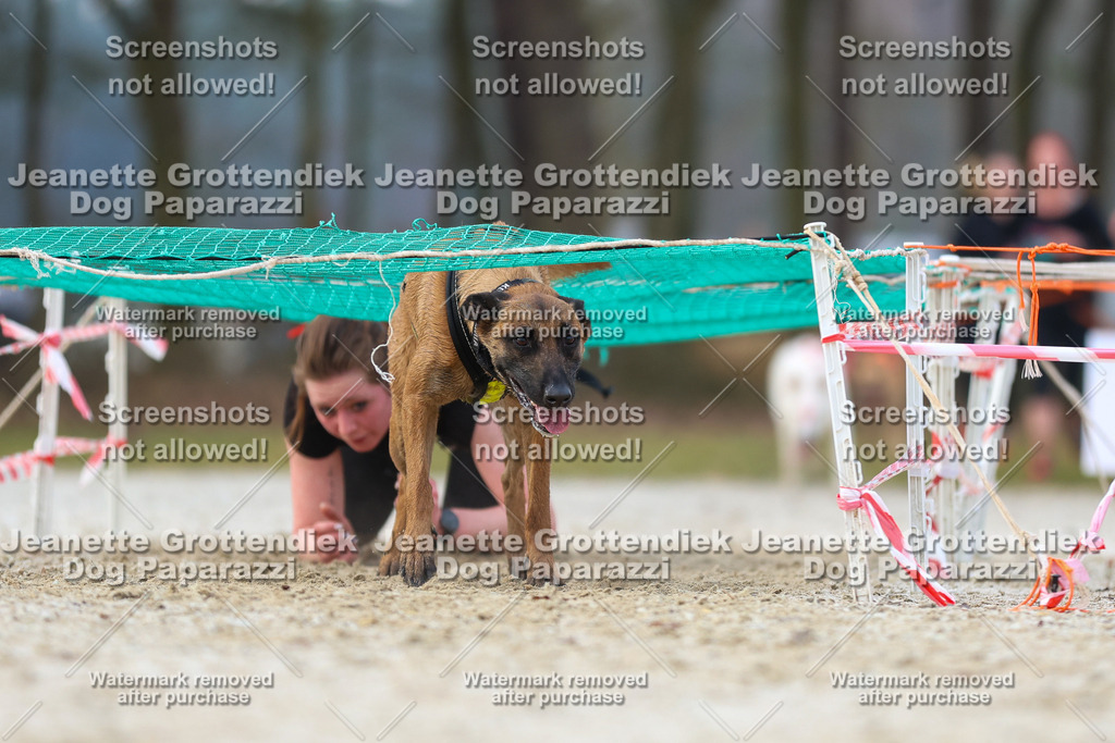Dog Paparazzi - Strongdog North Mrz26-3779 | Dog Paparazzi Jeanette Grottendiek Fotografie & Videografie - Realisiert mit Pictrs.com