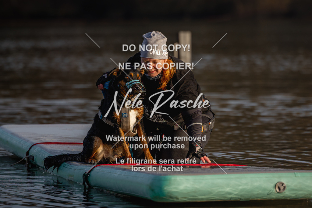 nelerasche_Hulsbeek_Sa1700-1730_175 | nelerasche