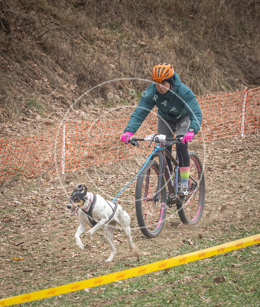 Pfotenfotografie_DV3A5048 | Hundefotografie, Tierfotograf, Pfotenfotografie, Fotoshooting Hund, Hunde Portrait, Hundesport, Hundeportraits, Heideshooting, Hunde, Sportfotograf, Hundefotograf, Turnierhundsport, THS,  - Realisiert mit Pictrs.com