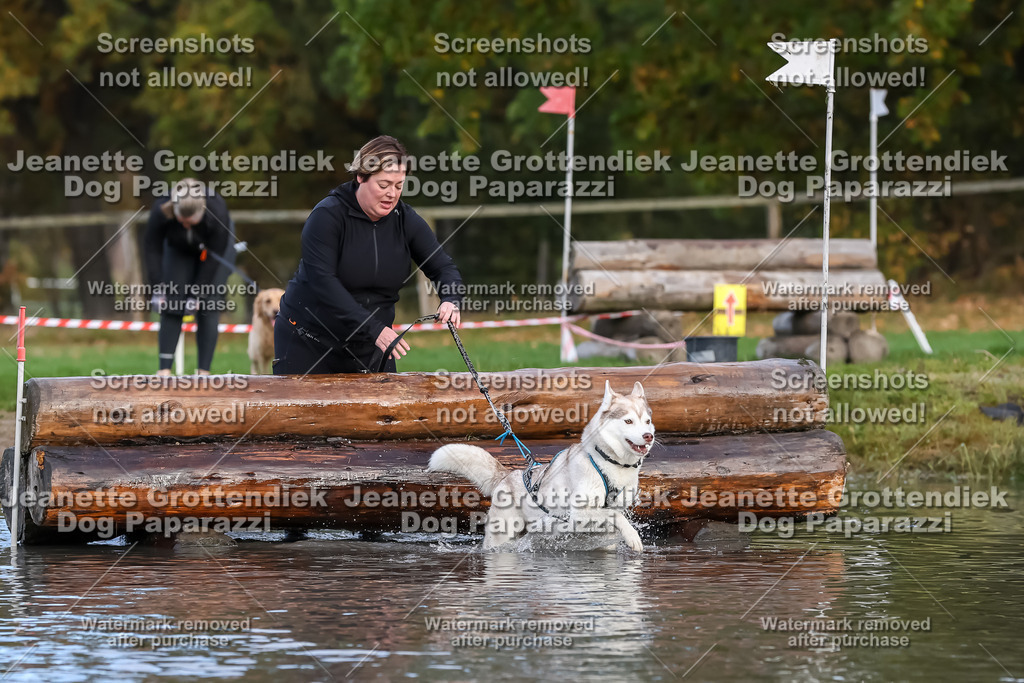 Dog Paparazzi - Strongdog 10-25-6947 | Dog Paparazzi Jeanette Grottendiek Fotografie & Videografie - Realisiert mit Pictrs.com