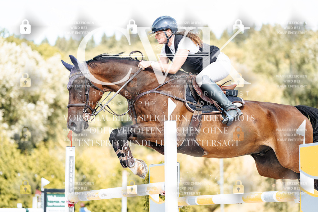 CK909102 | Turnierfotografie Pferdefotografie Trier Rheinland-Pfalz Pferdesport Reitsport Tierfotografie Sportfotografie Pferdevideo Pferdevideografie Equestrianvideography equestrianphotography  - Realisiert mit Pictrs.com