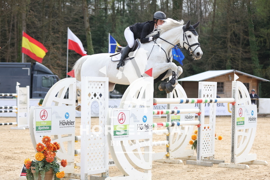 0P6A7083 | Willkommen bei Brunnmayr - Design & Fotografie – Ihrem Spezialisten für Reitturniere und Pferdeveranstaltungen in Oberösterreich, Salzburg und Bayern! Seit über 17 Jahren sind wir leidenschaftlich dabei.