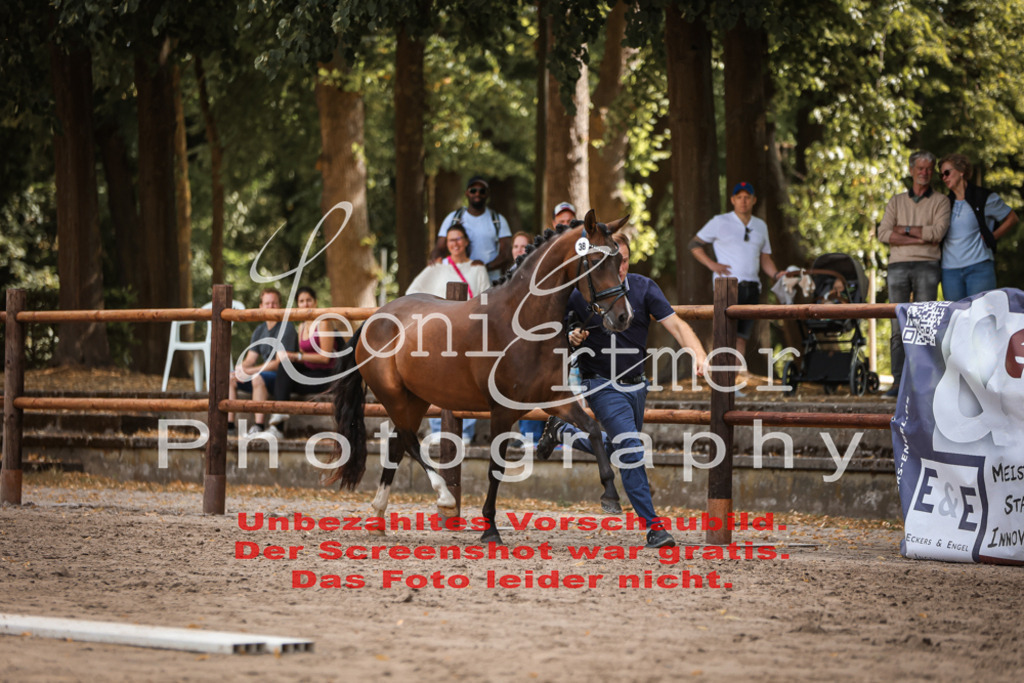 SoER00130 | Leoni Ertmer Photography - Realisiert mit Pictrs.com
