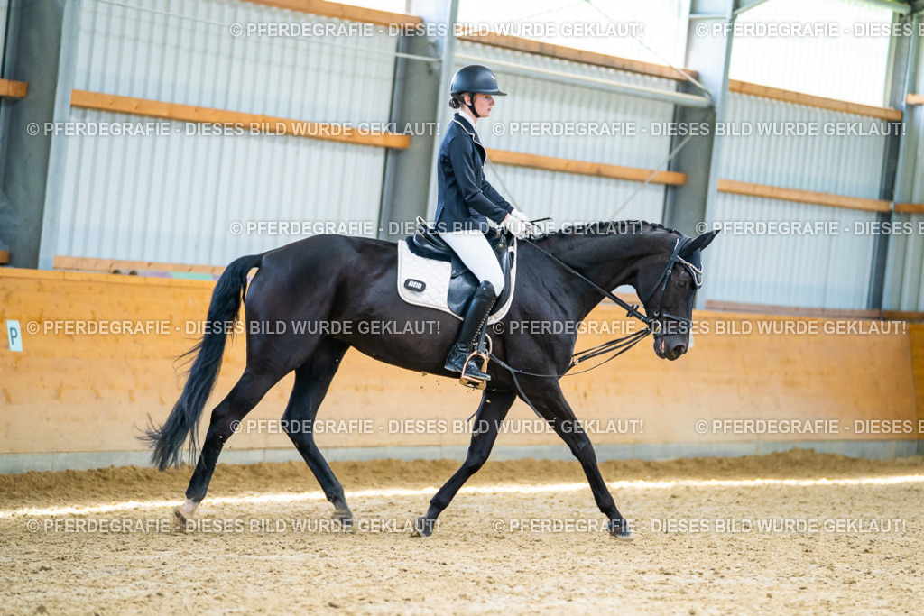 DSC09328 | Pferdegrafie