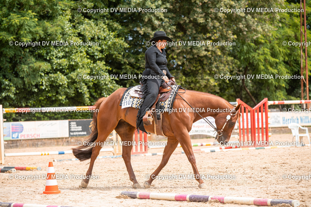 ZS2_7968 | dv-media-shop - Realisiert mit Pictrs.com