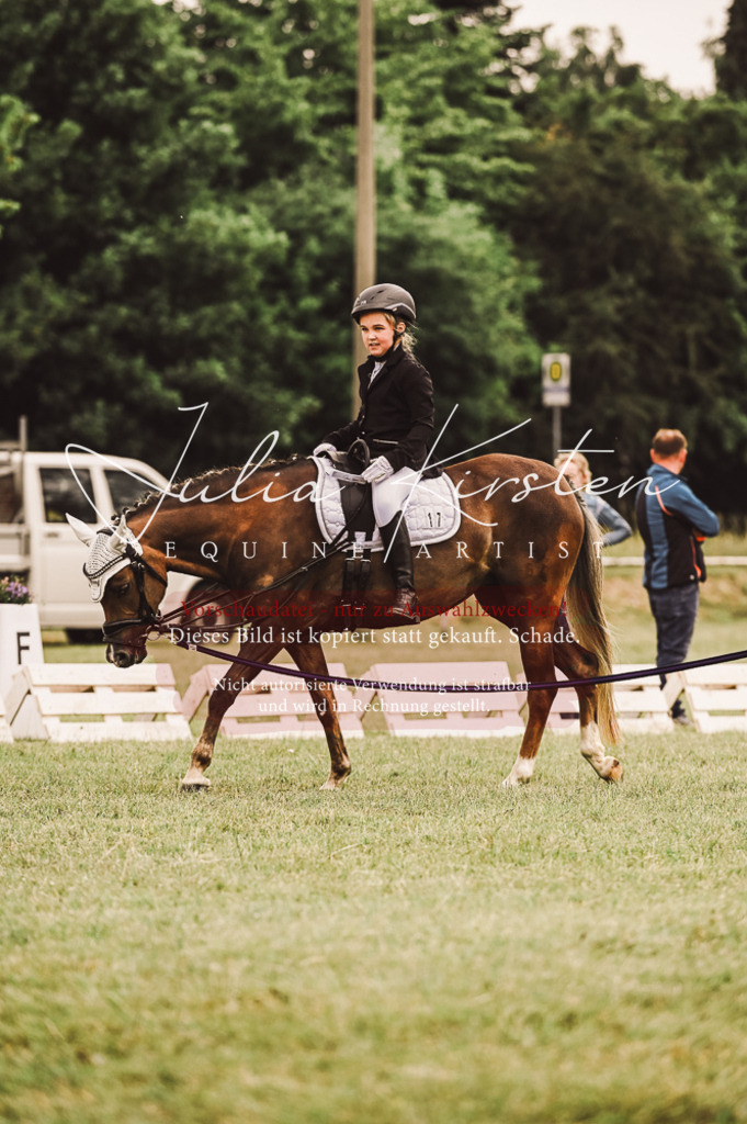 DSC_5251 | Pferde- und Turnierfotografie in Westsachsen. Pferdeportraits, Auftragszeichnungen und intuitive Kunst.