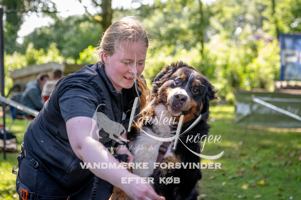 1509_ZZ90417 | kk-dogfotos