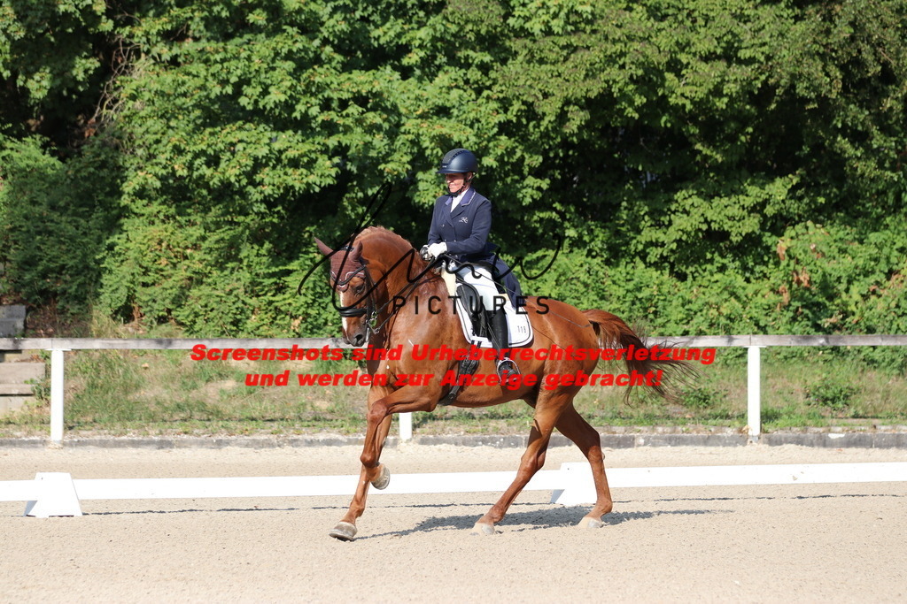 IMG_8953 | lmwpictures - Realisiert mit Pictrs.com