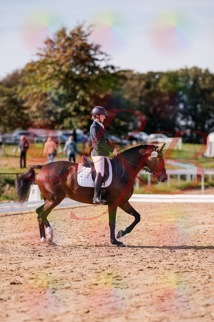 2026_10_03_Siefer-Hof_125505_Z81_43696510 | Professionelle Reitsport-, Turnier- und Eventfotografie von Robert Broda. Galerien mit ausgewählten und bearbeiteten Bildern direkt online ansehen und bestellen.