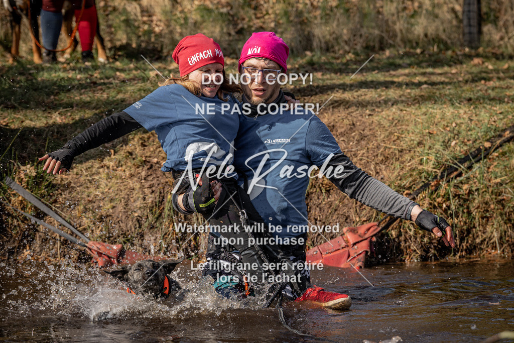 nelerasche_FS1330-1400_35 | nelerasche