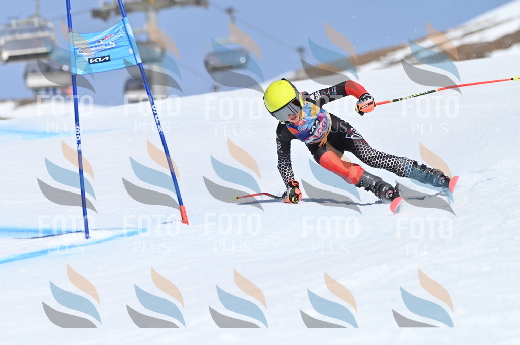 BGV_9967 | holidayphoto