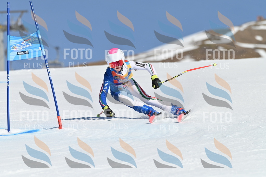 BGV_7711 | holidayphoto