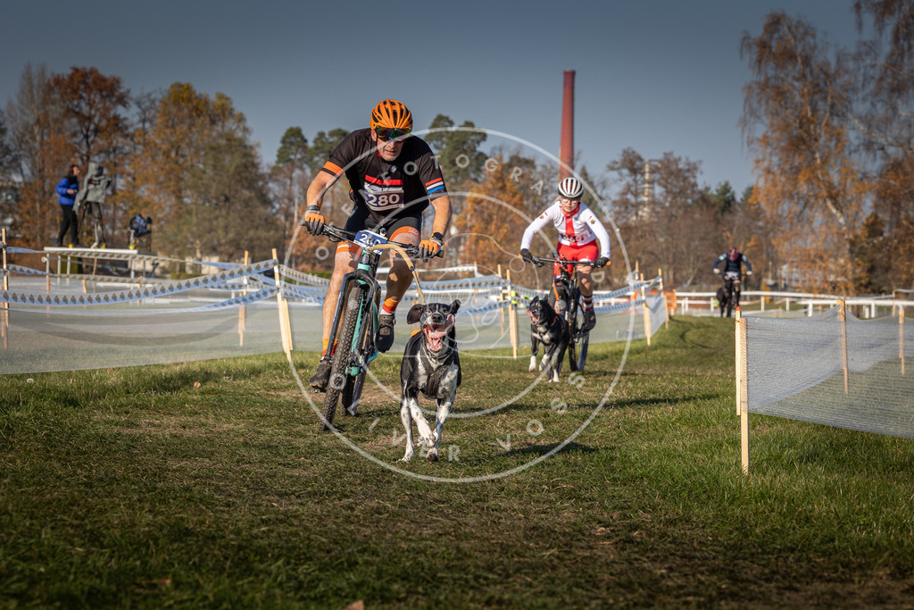CaniXpix_0L8A8147 | Hundefotografie, Tierfotograf, Pfotenfotografie, Fotoshooting Hund, Hunde Portrait, Hundesport, Hundeportraits, Heideshooting, Hunde, Sportfotograf, Hundefotograf, Turnierhundsport, THS,  - Realisiert mit Pictrs.com