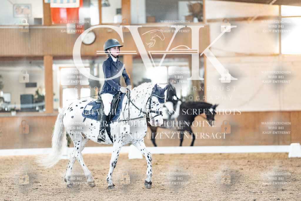 CK906817 | Turnierfotografie Pferdefotografie Trier Rheinland-Pfalz Pferdesport Reitsport Tierfotografie Sportfotografie Pferdevideo Pferdevideografie Equestrianvideography equestrianphotography  - Realized with Pictrs.com