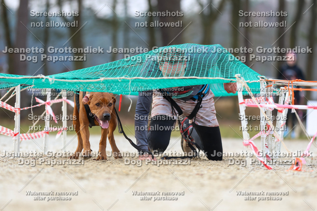 Dog Paparazzi - Strongdog North Mrz26-3842 | Dog Paparazzi Jeanette Grottendiek Fotografie & Videografie - Realisiert mit Pictrs.com