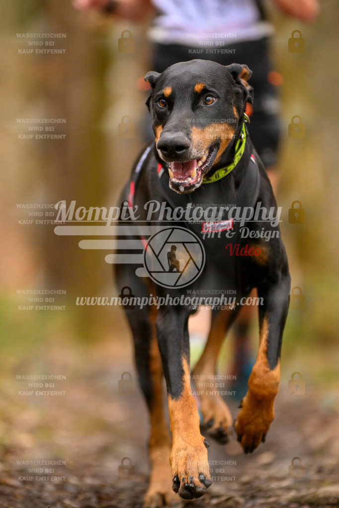 MompixPhotography_CDSM24_SA_Fun-38 | PayLife