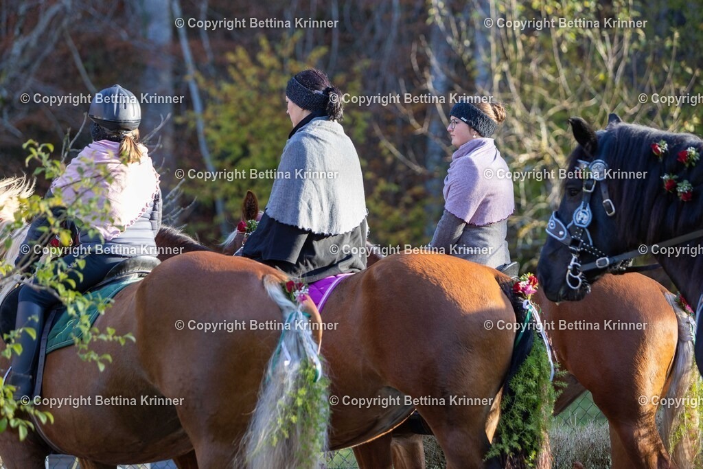 LL24-175 | foto-bettina-krinner - Realisiert mit Pictrs.com