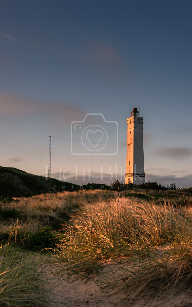 unbenannt-331-2-Verbessert-RR | <licht-blick-fotografie><shooting><portraitshooting><tiershooting><landschaftsbilder><shootingbuchen><buchen><fotografbremen> <fotograf niedersachsen><fotografin Bremen und niedersachsen><carshooting><automobilfotografie><auto> - Realisiert mit Pictrs.com
