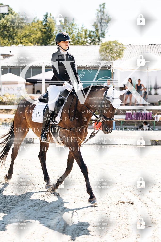 CK902237 | Turnierfotografie Pferdefotografie Trier Rheinland-Pfalz Pferdesport Reitsport Tierfotografie Sportfotografie Pferdevideo Pferdevideografie Equestrianvideography equestrianphotography  - Realisiert mit Pictrs.com