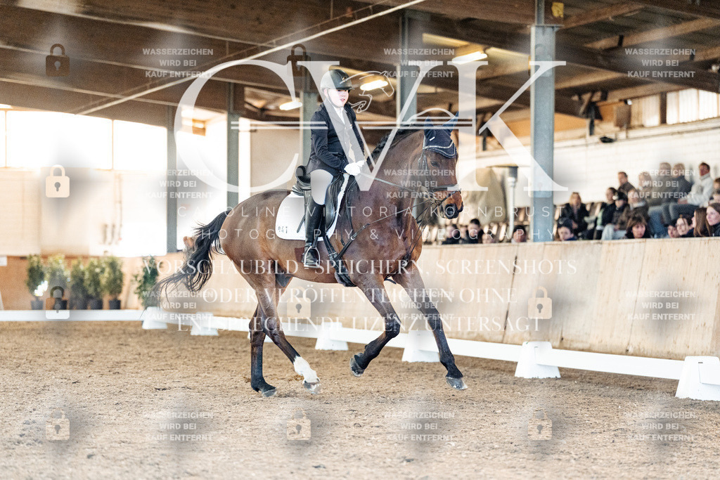 CK907279 | Turnierfotografie Pferdefotografie Trier Rheinland-Pfalz Pferdesport Reitsport Tierfotografie Sportfotografie Pferdevideo Pferdevideografie Equestrianvideography equestrianphotography  - Realisiert mit Pictrs.com
