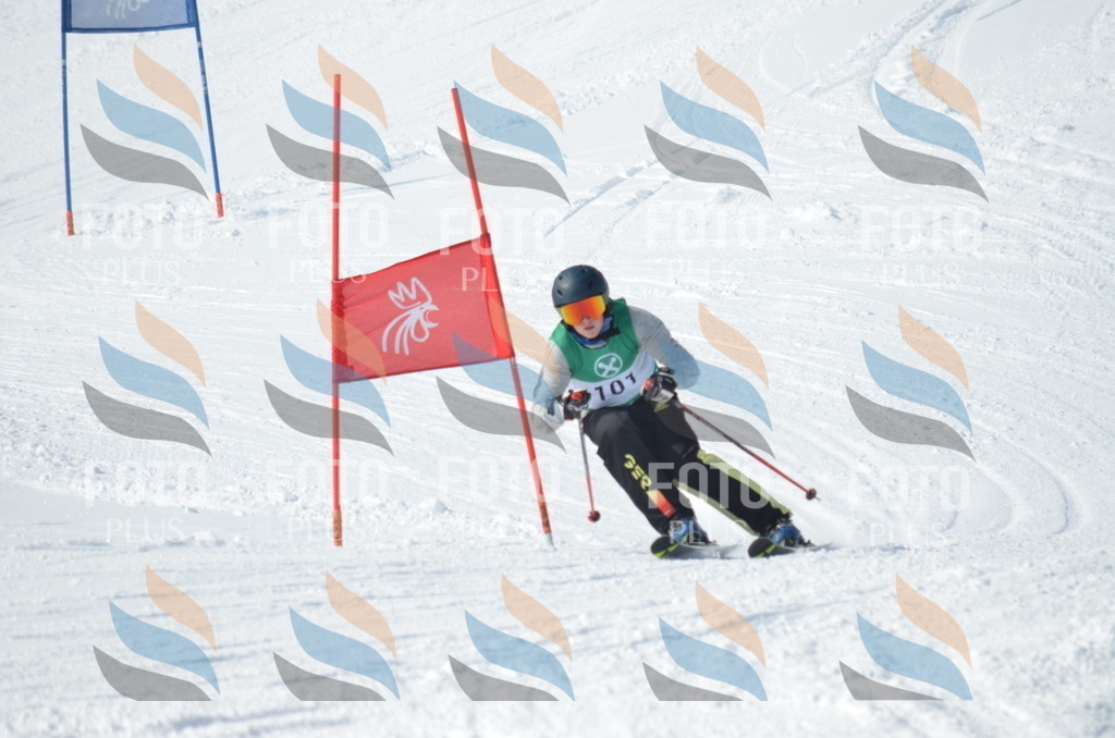 D9128 | holidayphoto