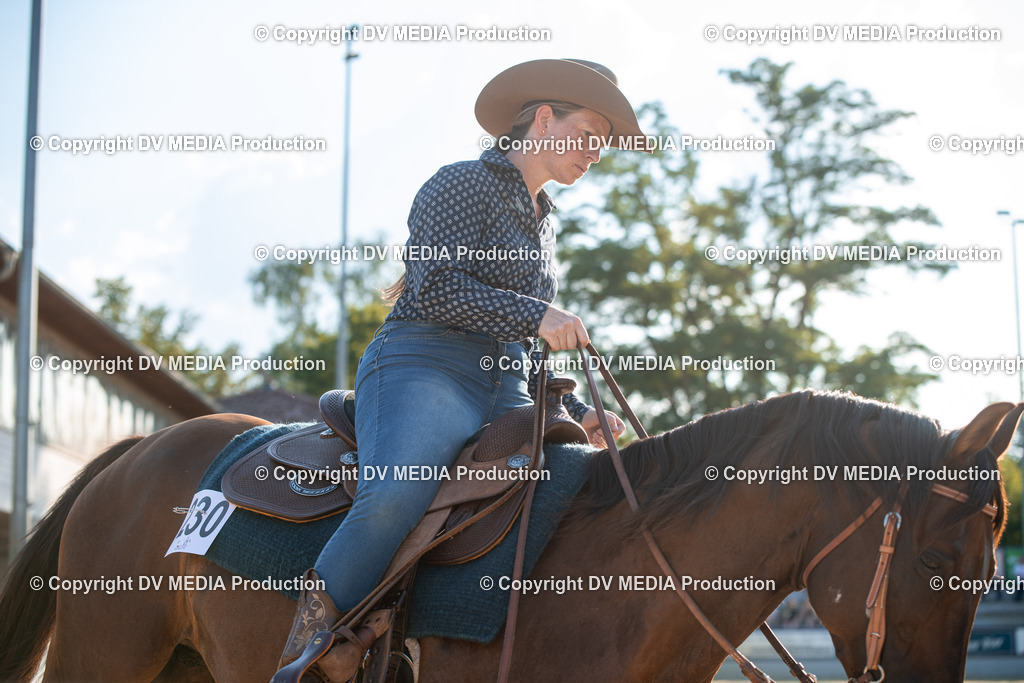 ZS2_9033 | dv-media-shop - Realisiert mit Pictrs.com