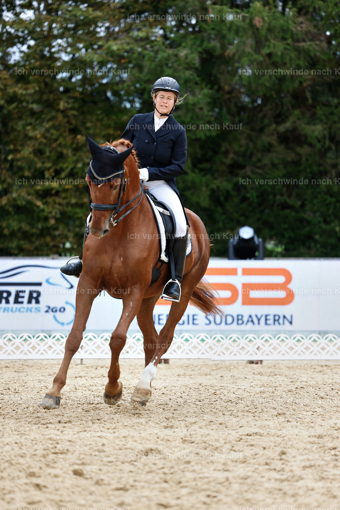 6-090-AMATUER-DRESSUR S_  -StoibPH-3602 | working equitationturnier fotograf videograf stoibphotography marixx film working equitation deutschland reitsport turnierfotografie eventfotografie equestrian events