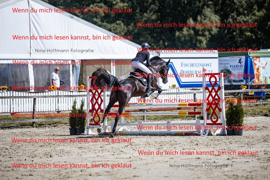 BK1A5196 | Turnierbilder Turnierfotos Nina Hüffmann Turnierfotografie Pferdefotografie Tierzeichnung Haustierzeichnung Pferdezeichnung Hundezeichnung Videograf  - Realisiert mit Pictrs.com