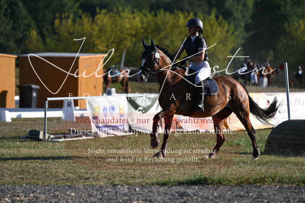 DSC_9093 | Pferde- und Turnierfotografie in Westsachsen. Pferdeportraits, Auftragszeichnungen und intuitive Kunst.