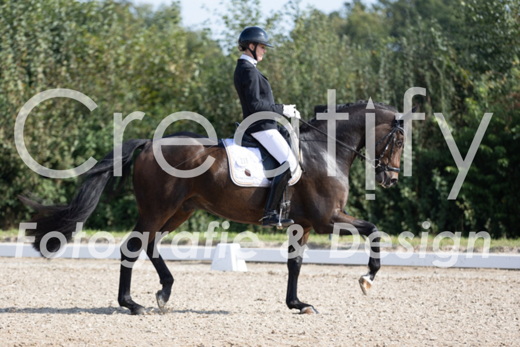 IMG_2954 | Creatify Fotografie