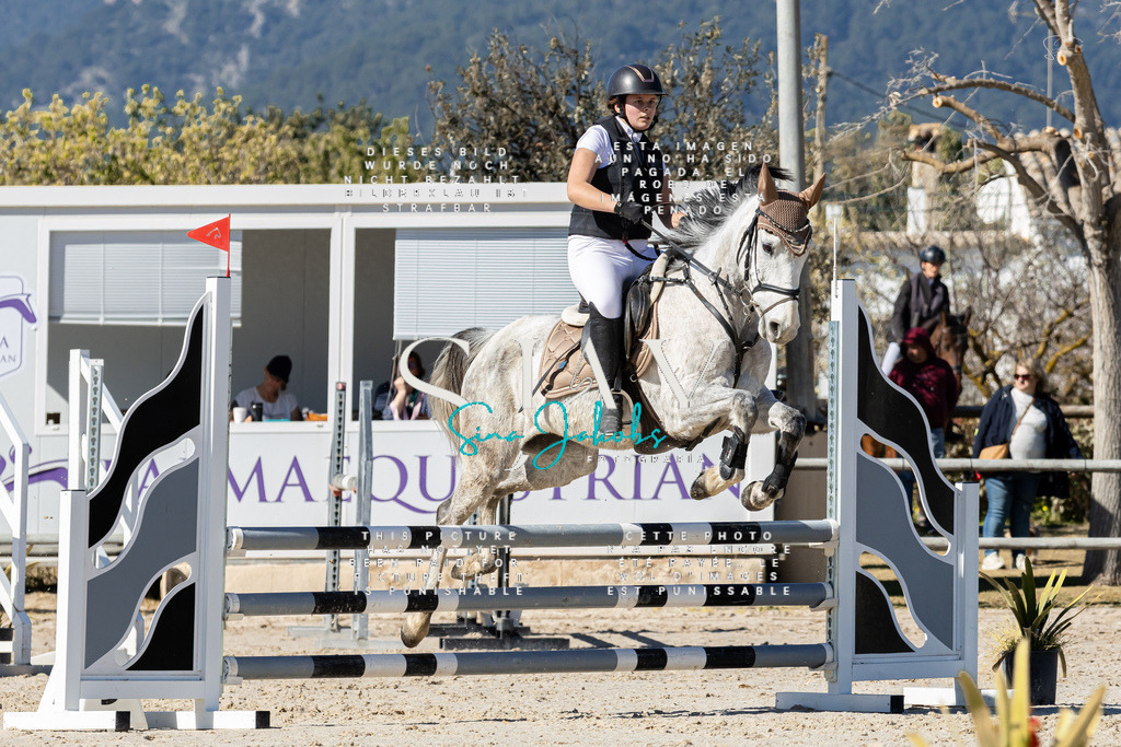 IMG_9387 | s-jay-photography - Realisiert mit Pictrs.com