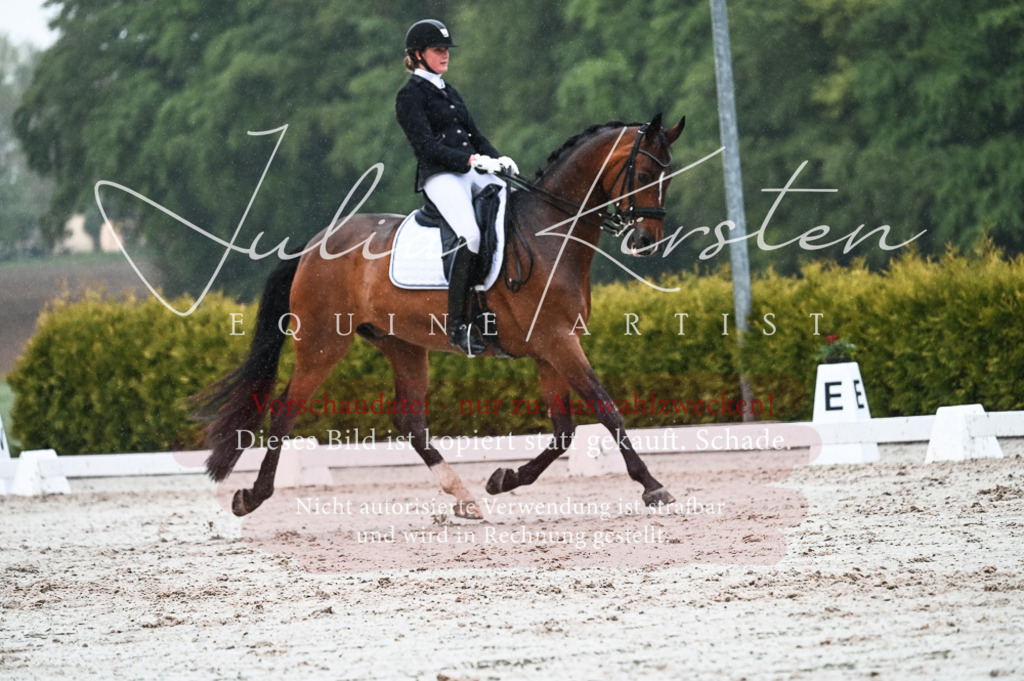 DSC_4571 | Pferde- und Turnierfotografie in Westsachsen. Pferdeportraits, Auftragszeichnungen und intuitive Kunst.
