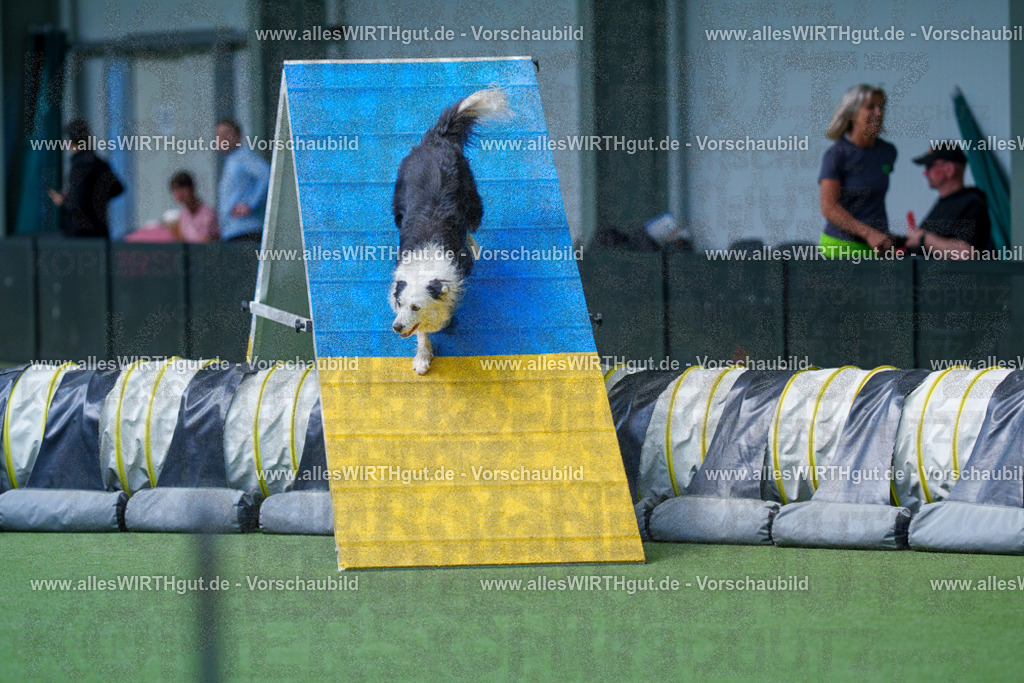 @allesWIRTHgut_Tierfotografie - www.allesWIRTHgut.de - 2604251435-7R505075 | Professionelle Tierfotografie in Mönchengladbach von Daniel Wirth (allesWIRTHgut). Liebevolle & natürliche Bilder von Hunden & Katzen für unvergessliche Erinnerungen.