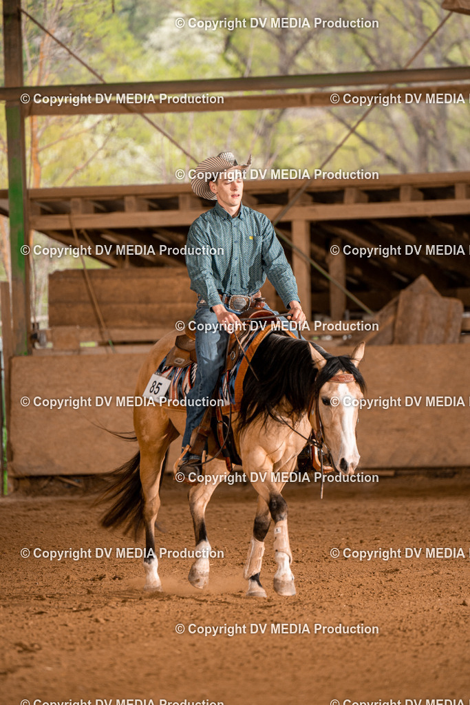 BA400492 | dv-media-shop - Realisiert mit Pictrs.com