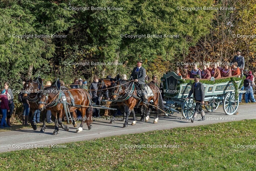 LBT25-315 | foto-bettina-krinner - Realisiert mit Pictrs.com