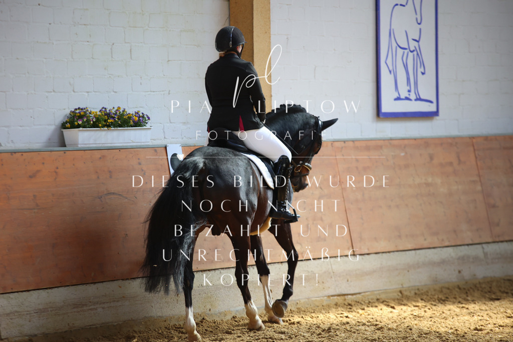 IMGT6780 | pl-fotografie