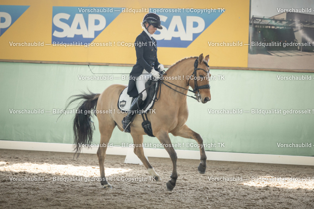 _D5A1797 | Emotionale Pferde- & People-Fotografie rund um Heidelberg, Leimen & Umgebung. Natürliche Fotos von Pferd, Mensch & Familie. Jetzt Termin sichern!