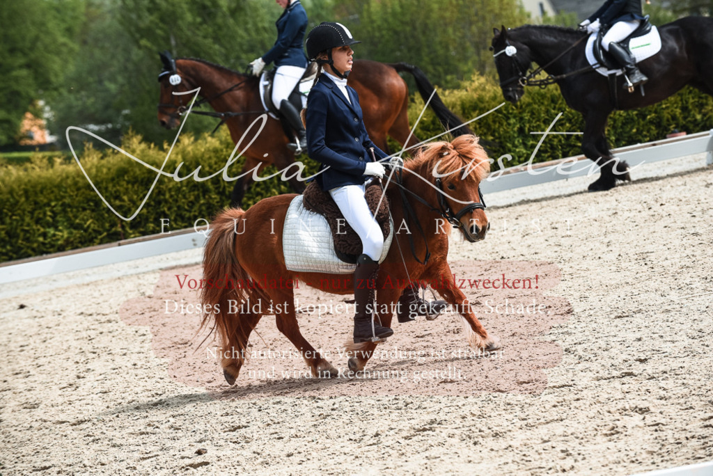20230518_JK-Röhrsdorf-11-0936 | Pferde- und Turnierfotografie in Westsachsen. Pferdeportraits, Auftragszeichnungen und intuitive Kunst.