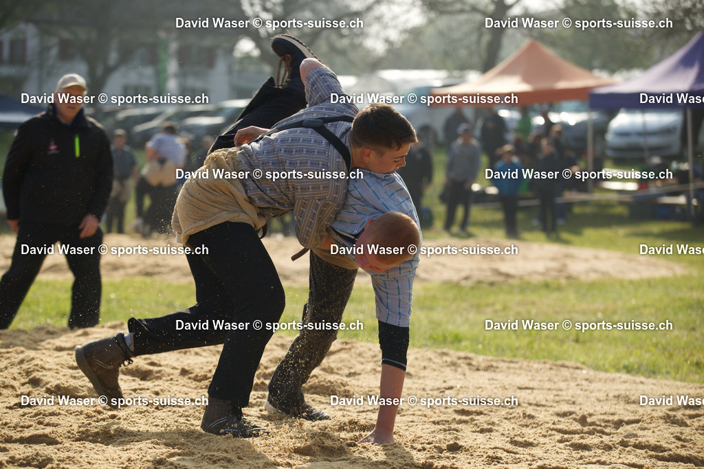 _DAV2580 | sports-suisse.ch