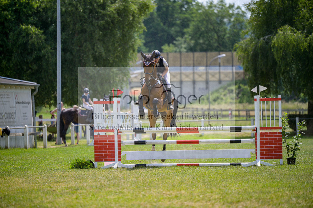 Reitturnier Voxtrup | Entdecke hochwertige Reitturnierfotos von Foto Oger. Professionell, emotional und authentisch – jetzt Lieblingsmomente im Shop bestellen.Deutschlandweite Turnierfotografie. - Realisiert mit Pictrs.com