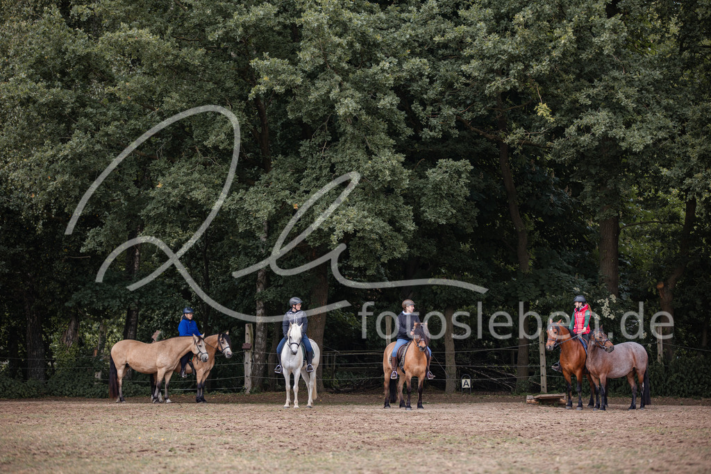 846A0338 | fotosleben - Realisiert mit Pictrs.com