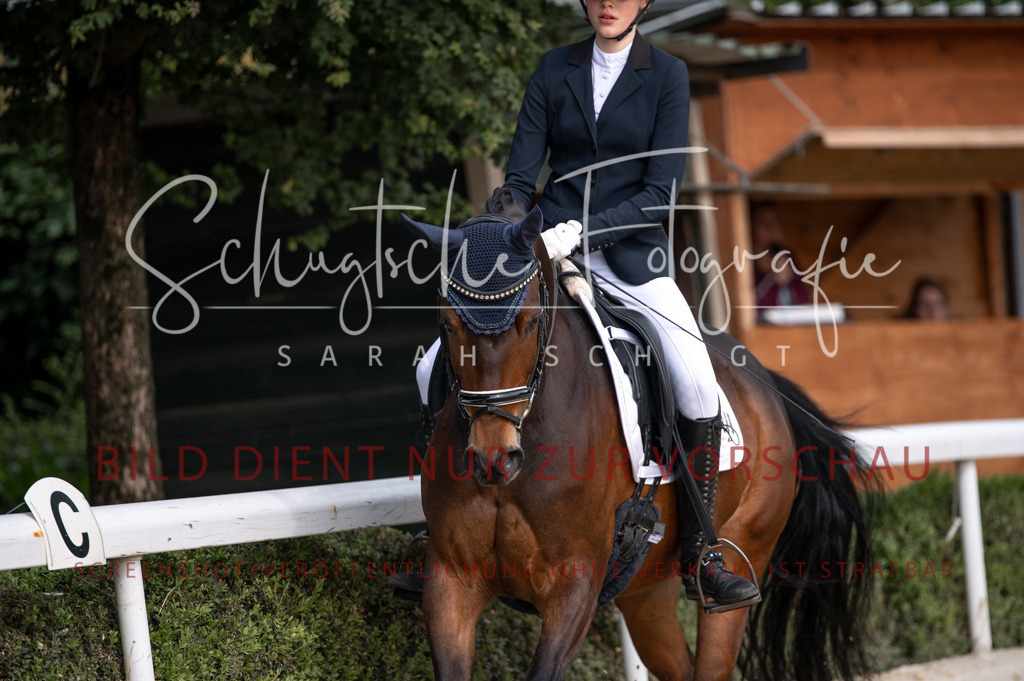 Schugtsche-Aluta25-40.DressurprfA_-246 | Schugtsche Fotografie - Realisiert mit Pictrs.com
