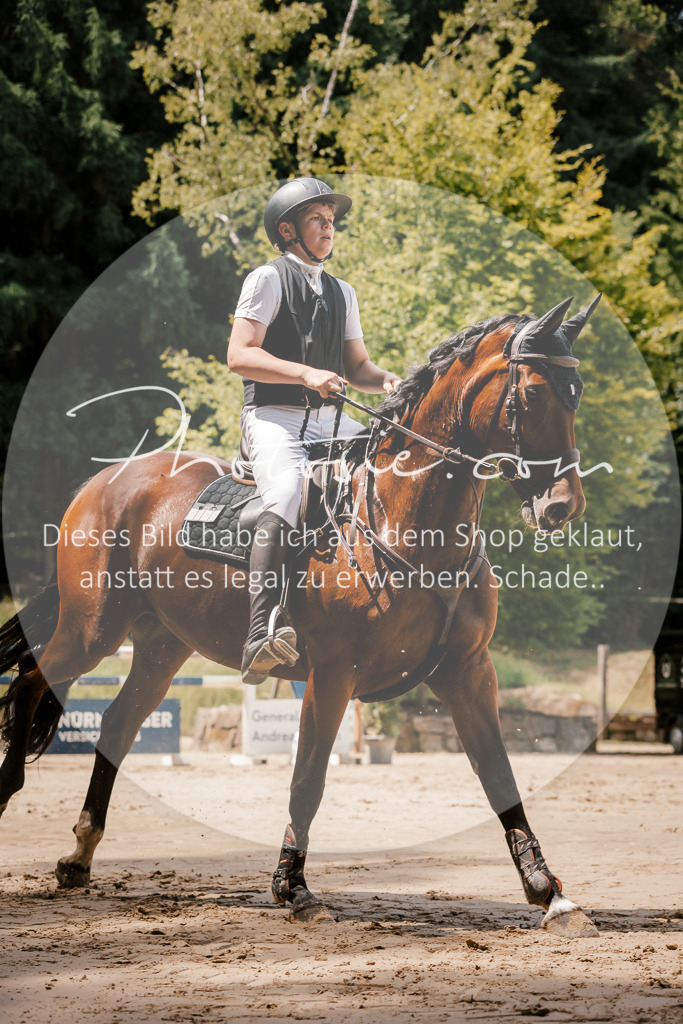 3I6A7994 | Stimmungsvolle Portraits und Reitsportfotografie im Ruhrgebiet und im Münsterland.

Pferdefotografie, Hundefotografie, Tierfotografie, Reportagen, Portraits von Tier und Mensch, Turnierfotografie in Bochum, Recklinghausen, Marl, Haltern am See, Dülmen.. - Realisiert mit Pictrs.com