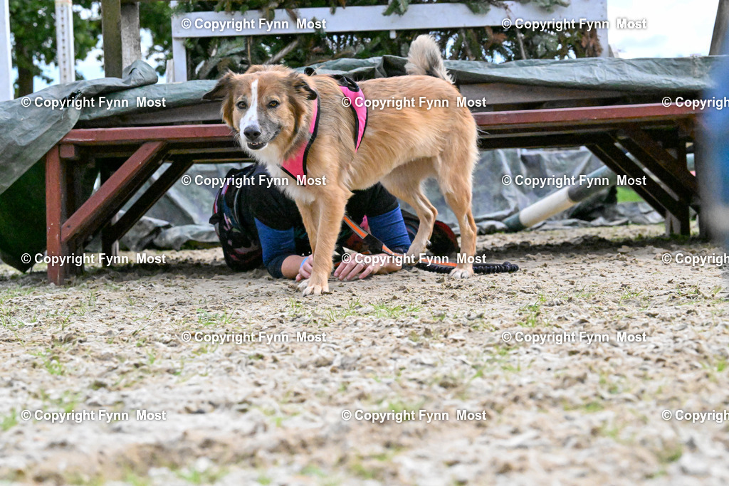 DSC_9802 | Hallo und herzlich Willkommen auf meiner Shop-Seite Fynn Most.

Ich wünsche Dir viel Spaß beim stöbern durch die Bilder, wenn Du Fragen hast oder Bilder vermisst, kannst du mir gerne eine Nachricht schreiben. - Realisiert mit Pictrs.com