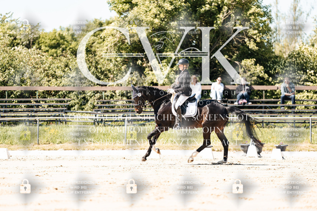 CK905072 | Turnierfotografie Pferdefotografie Trier Rheinland-Pfalz Pferdesport Reitsport Tierfotografie Sportfotografie Pferdevideo Pferdevideografie Equestrianvideography equestrianphotography  - Realisiert mit Pictrs.com