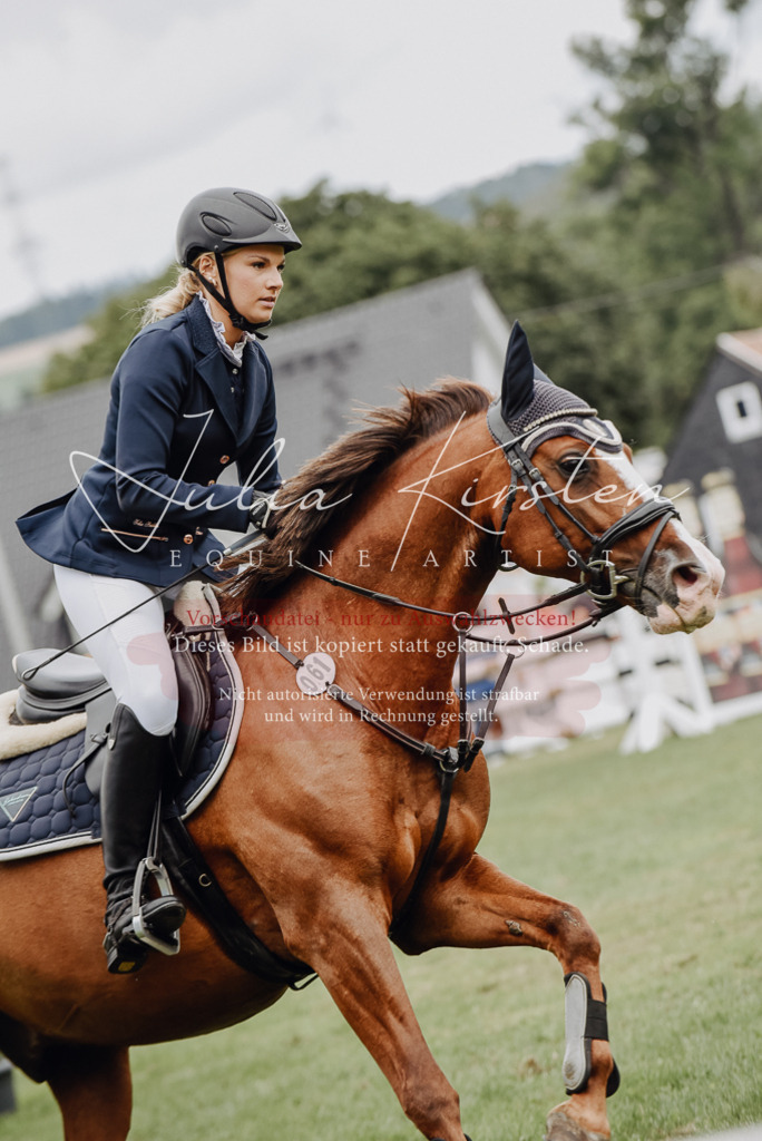 DSC_3792 | Pferde- und Turnierfotografie in Westsachsen. Pferdeportraits, Auftragszeichnungen und intuitive Kunst.