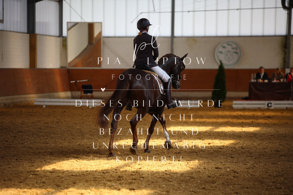 IMGT8338 | pl-fotografie