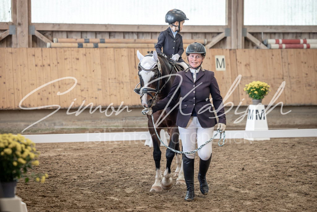 20251011-_3LI8887 | Tierfotografie Pferde, Hunde, Katzen, Haustiere.
Turnierfotografie Reitturniere, Reiten, Springreiten, Dressur in Hanau, dem Main-Kinzig-Kreis und dem Rhein-Main- Gebiet um Frankfurt
