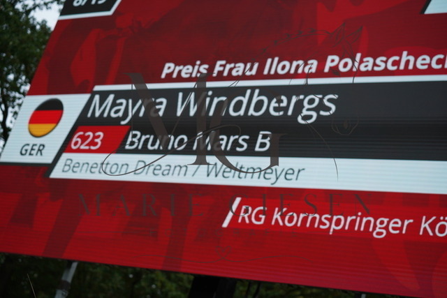 VAN03613 | Pferdefotografie in Köln und Umgebung – emotionale Pferdeshootings, Turnierfotografie und besondere Momente zwischen Pferd und Mensch. - Realisiert mit Pictrs.com