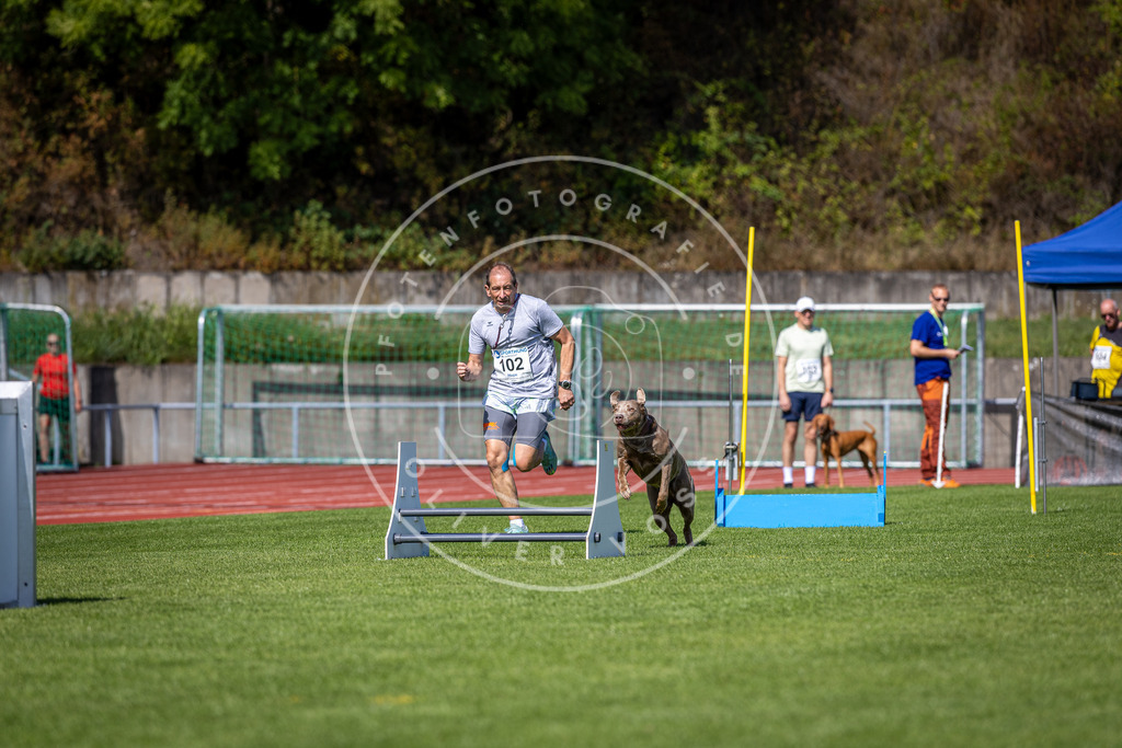 Pfotenfotografie_DV3A8037 | Hundefotografie, Tierfotograf, Pfotenfotografie, Fotoshooting Hund, Hunde Portrait, Hundesport, Hundeportraits, Heideshooting, Hunde, Sportfotograf, Hundefotograf, Turnierhundsport, THS,  - Realisiert mit Pictrs.com
